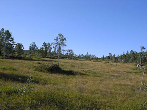 KIF_0669