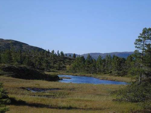 KIF_0671