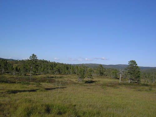 KIF_0673