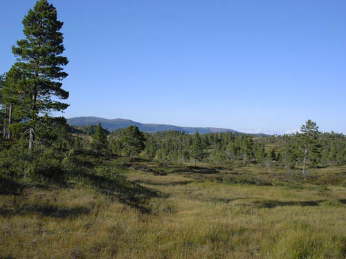 KIF_0674