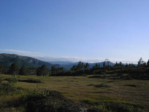 KIF_0677