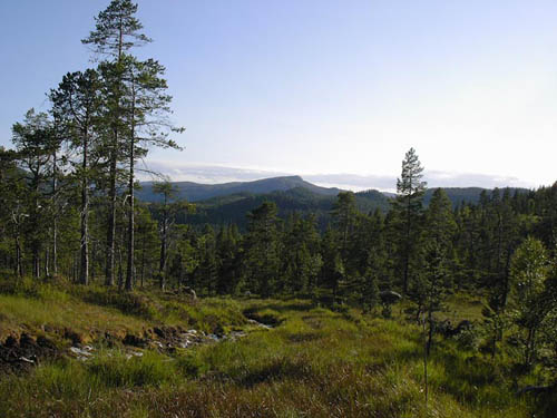 KIF_0678