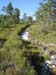 KIF_0666